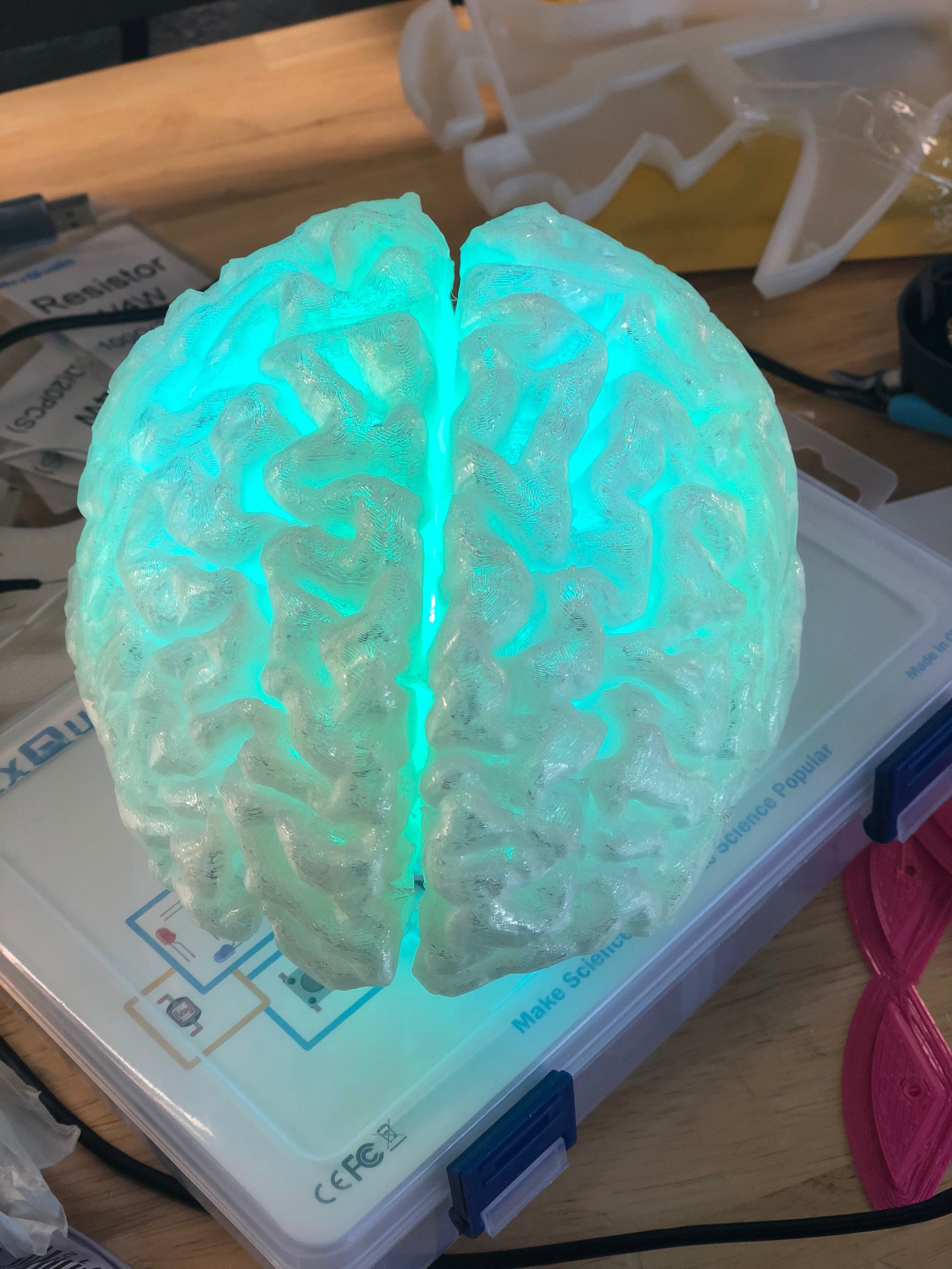3D Printed Brain Lamp - Unique Anatomical Light from Brain Scan - Image 4