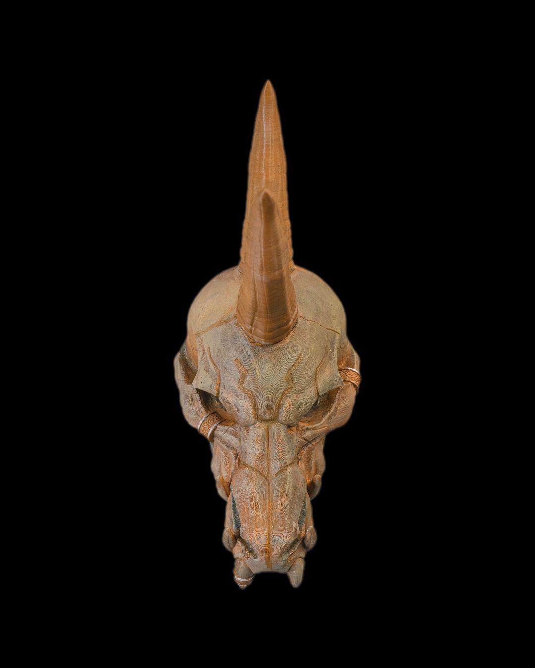 Black Dragon Skull - 3D Printed Dragon Collectible